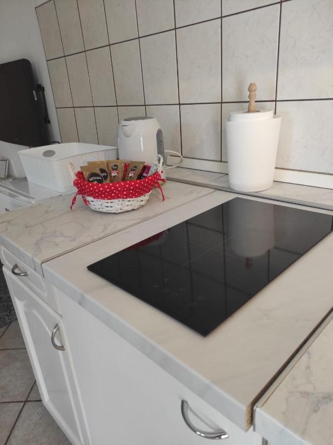 Studio Apartment Petrov シベニク エクステリア 写真