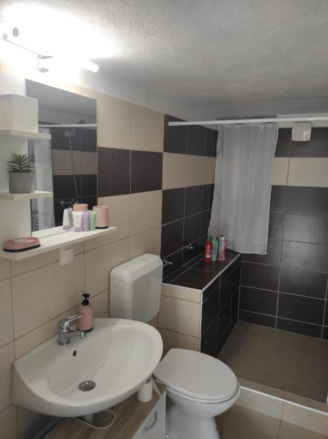 Studio Apartment Petrov シベニク エクステリア 写真