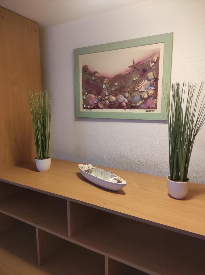 Studio Apartment Petrov シベニク エクステリア 写真
